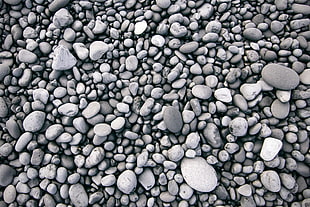 gray pebble lot, Stones, Sea, Surface
