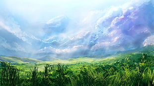 grass field under cloudy sky HD wallpaper