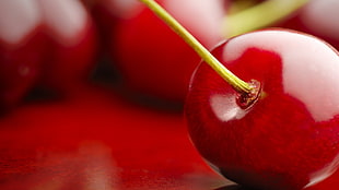macroshot photo of cherry