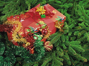 red gift packages on green lawns HD wallpaper