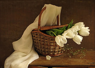 white Tulip flowers in brown wicker basket with white textile