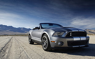 gray Shelby Cobra Cabrio with racing stripes during daytime