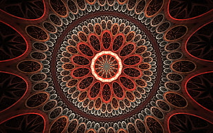 red and white illustration