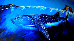 blue and white whale photo