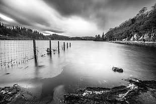 black and white photography of calm body of water, loch ard, aberfoyle, scotland, united kingdom HD wallpaper