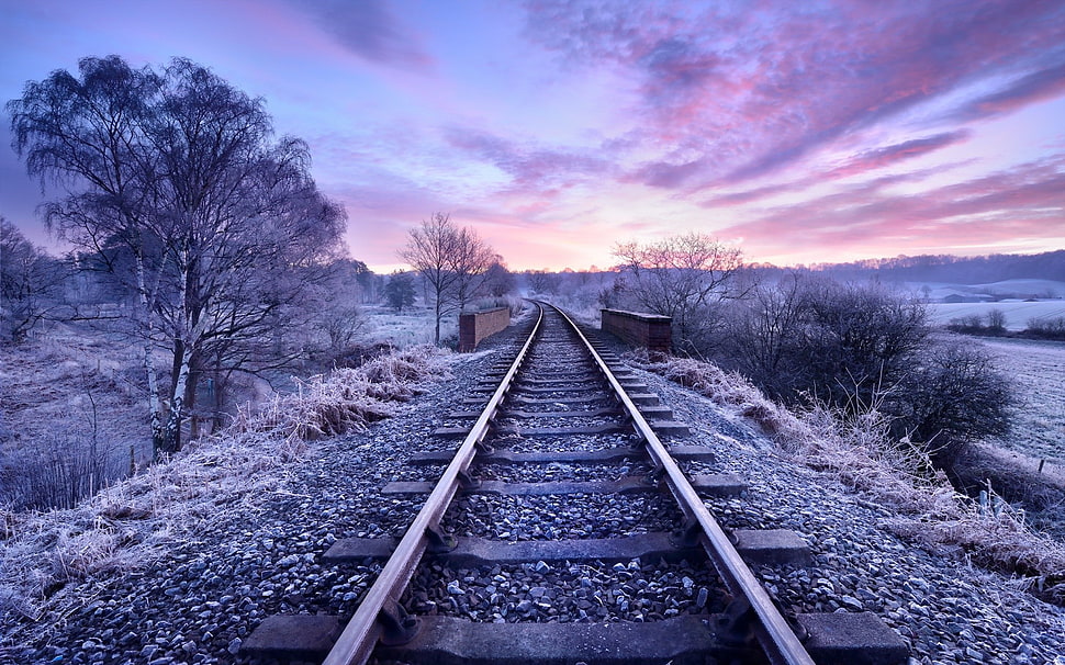 train rails, nature, railway, trees, winter HD wallpaper