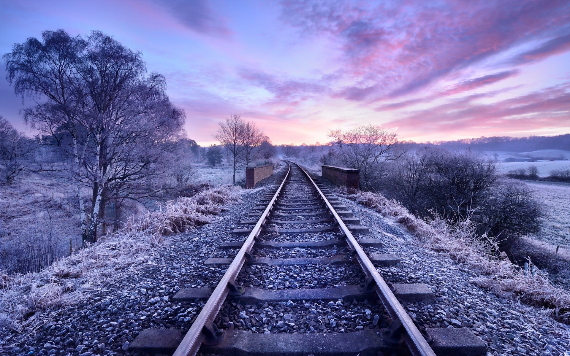 train rails, nature, railway, trees, winter