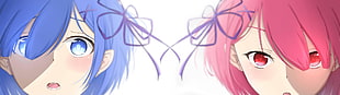 two female and male with pink and blue dyed hairs illustrations, Re:Zero Kara Hajimeru Isekai Seikatsu, Ram (Re:Zero), Rem (Re: Zero), dual monitors