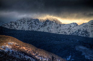 snow mountain near forest during golden hour HD wallpaper