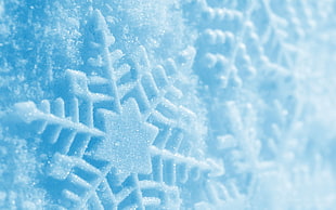 closed-up photography of Snowflakes HD wallpaper