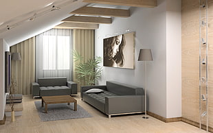 gray and white living room furniture set