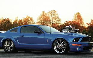 blue coupe, car, Shelby GT500 Super Snake, tuning, vehicle HD wallpaper