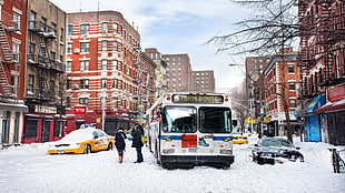 white and gray truck, snow, cityscape, winter, New York City