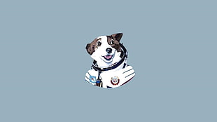 short-coated brown and white dog clip art, dog, minimalism