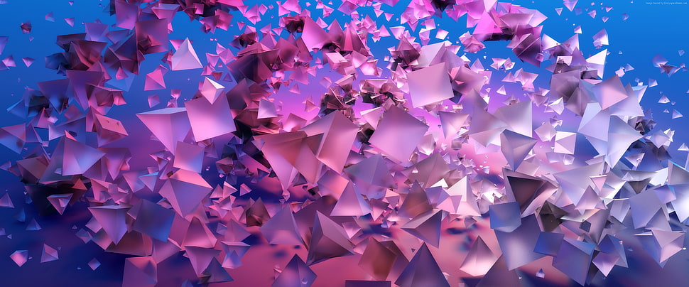 purple textile poster HD wallpaper