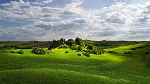 photo shot of green grass field during daylight