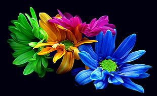 blue, green, orange, and pink flowers