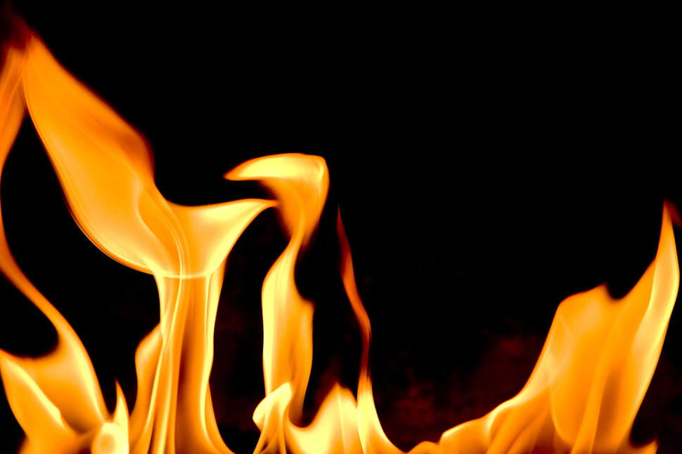 close up photo of fire HD wallpaper