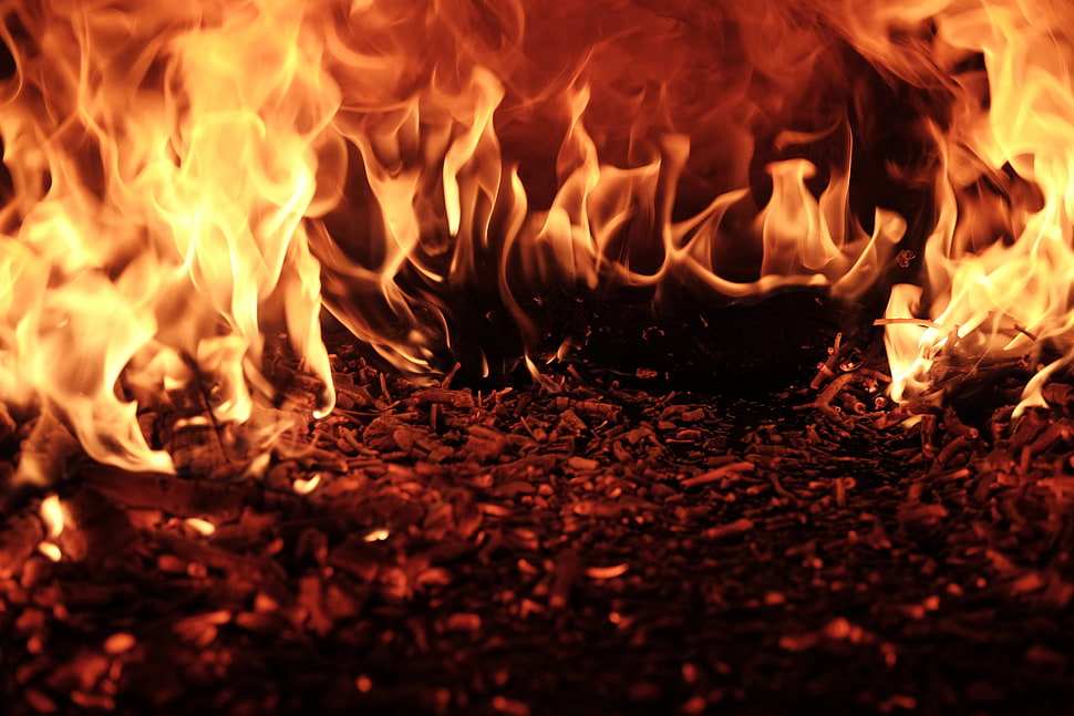flame illustration, Fire, Flame, Ash HD wallpaper