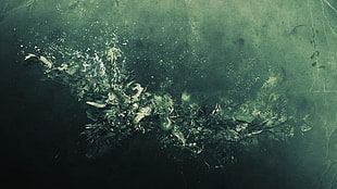  HD wallpaper