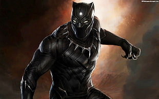 Marvel Black Panther digital wallpaper