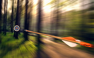 orange arrow timelapse photo, arrows, motion blur, forest, targets HD wallpaper