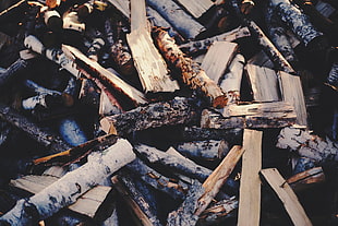 firewood stack HD wallpaper