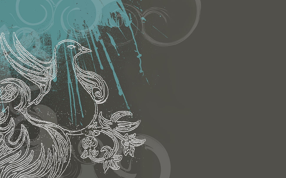 gray and black bird illustration HD wallpaper