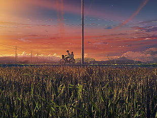 man riding bicycle at the middle of green grass field