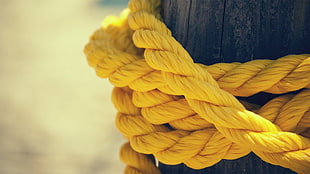 yellow rope, ropes, yellow