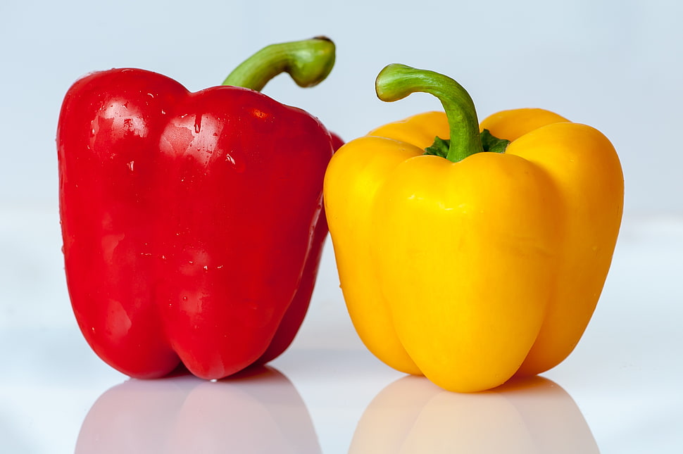 two yellow and red Tomatoes HD wallpaper