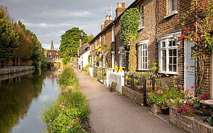 brown brick houses beside a river at daytime