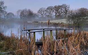 black wooden bridge on lake