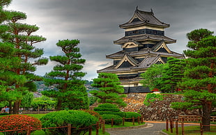 gray pagoda, building, Asian architecture, Japan, Matsumoto Castle