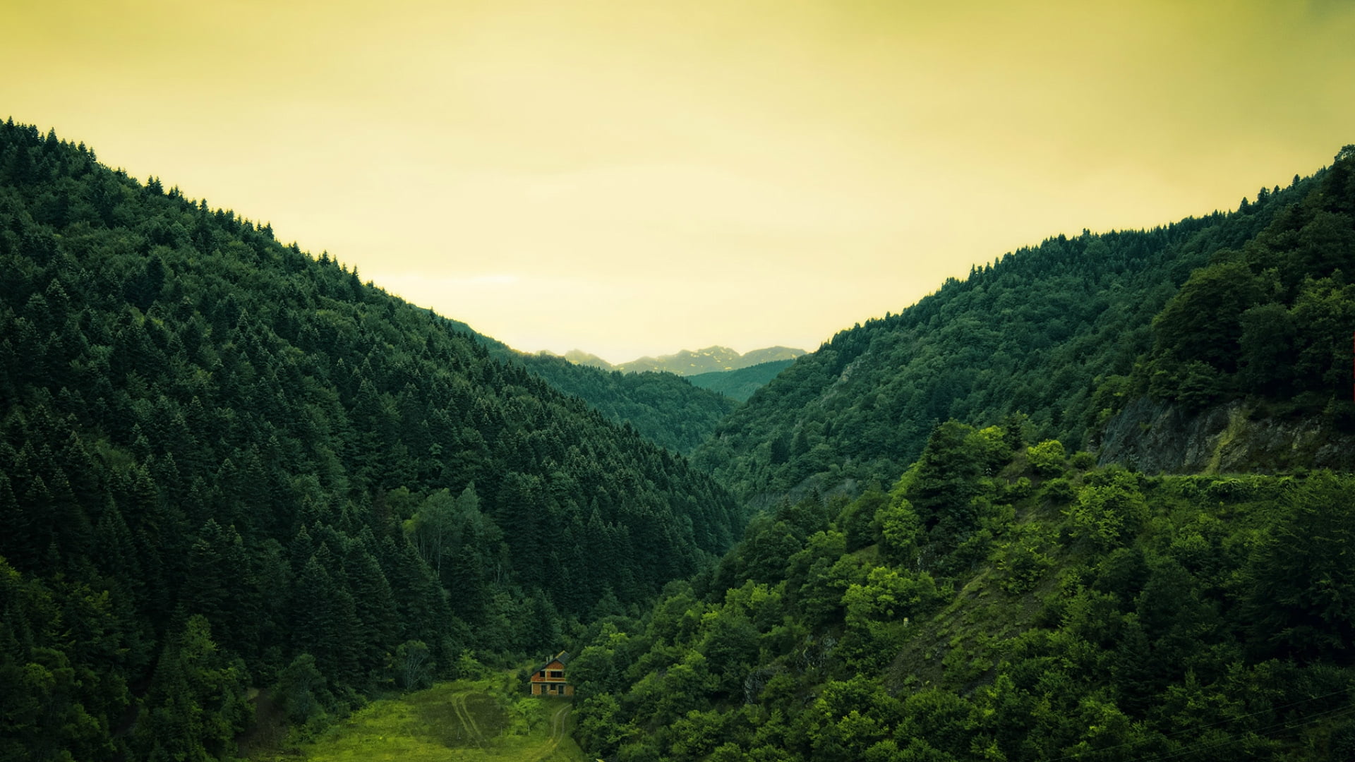 Green Forest Hill Landscape As a High Definition Panorama Stock Photo -  Image of nature, landscape: 199618368