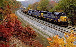 photo of black, yellow, and gray CSX train near trees during day time