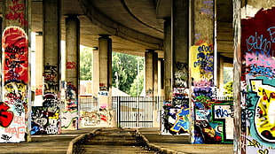 gray concrete bridge, graffiti