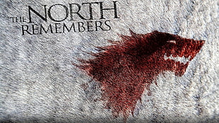 brown and black area rug, Game of Thrones, direwolves