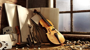 brown cello, musical instrument, violin, wood, window