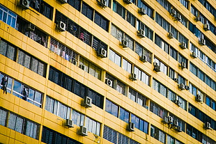 yellow building, Facade, Building, Windows