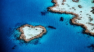 heart-shaped white and brown island HD wallpaper