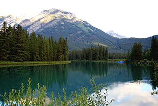 green mountain near body of water during day time, banff national park, canada