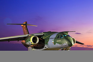 green and grey plane under purple sky
