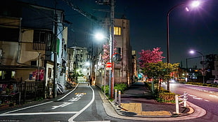 photo of street between gray concrete buildings, cityscape, street light, road, Japan HD wallpaper