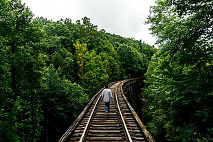 grey train track, Railway, Man, Walk HD wallpaper