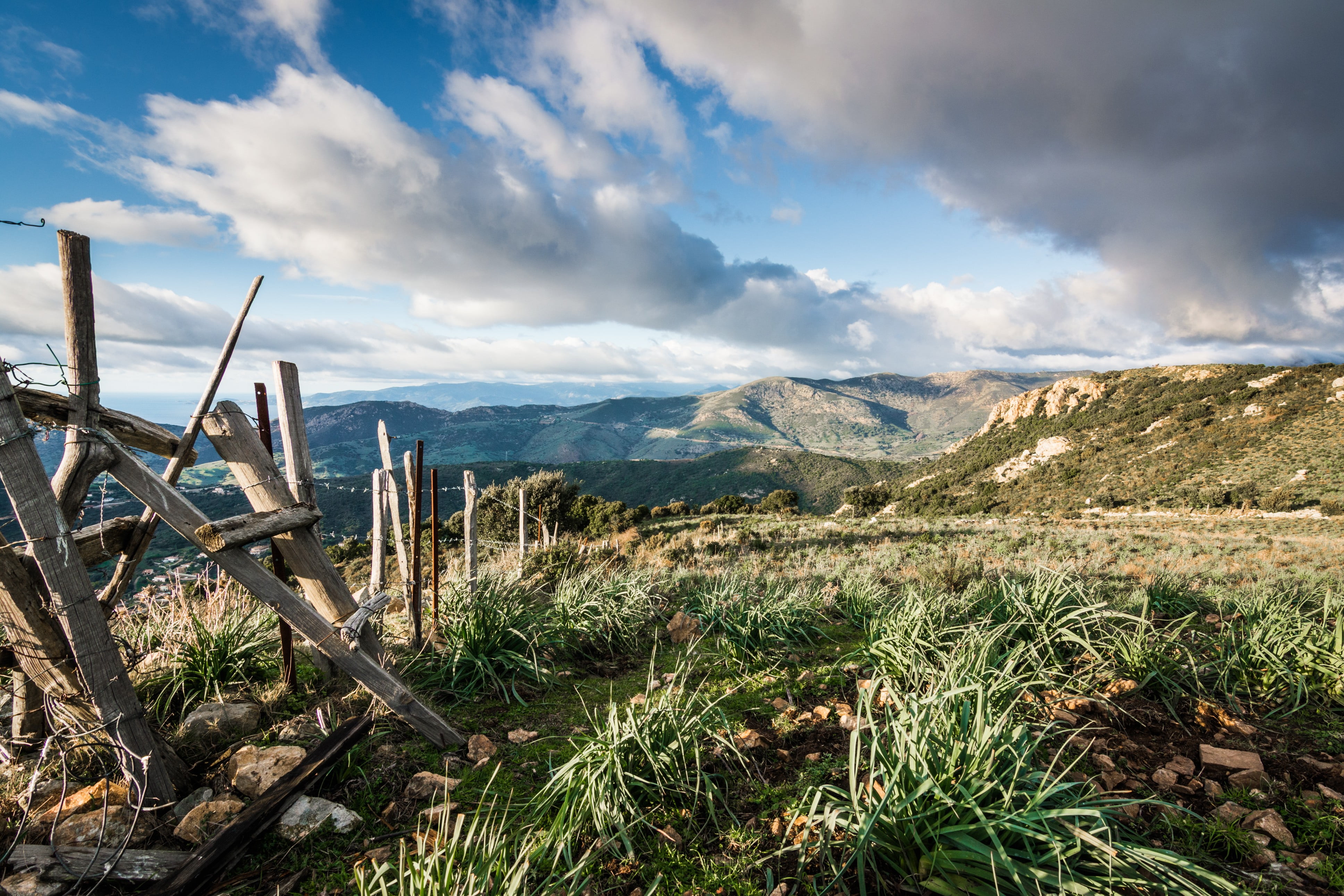 green and white trees near body of water, Corsica, landscape, nature, mountains