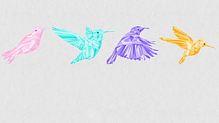 four pink, teal, purple, and yellow birds illustration, birds, abstract, hummingbirds