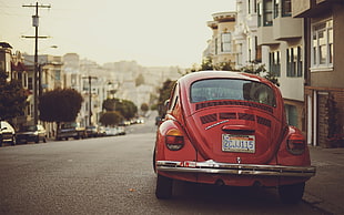 red Volkswagen Beetle coupe, car, Volkswagen, Volkswagen Beetle, red cars HD wallpaper