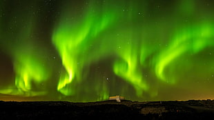 Aurora Borealis, nature, landscape, aurorae HD wallpaper