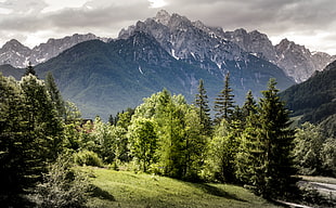 landscape photography of mountains, slovenia